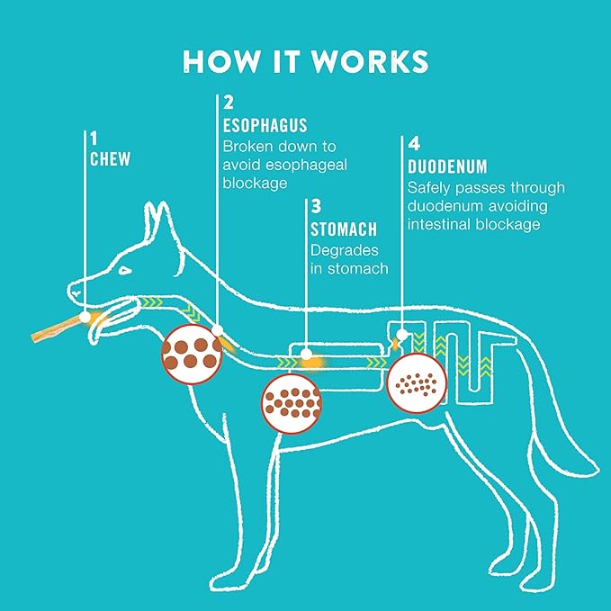 Collagen Rolls - 6" Collagen Rolls for Dogs - Long Lasting Healthy Joint Support - Rawhide Alternative - Skin & Coat Health - Made with Real Peanut Butter, Value Pack, 3 Bags, 12 Count