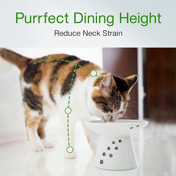 Necoichi Extra Wide Raised Cat Food Bowl, Elevated, Prevent Neck & Whisker Fatigue, Dishwasher and Microwave Safe, No.1 Seller in Japan! (Cat, Extra Wide)
