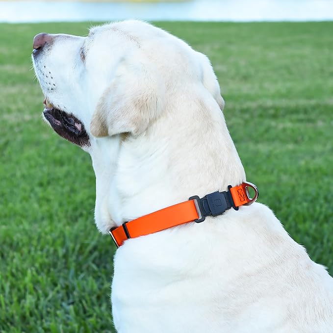 Dogline Biothane Waterproof Dog Collar with Herm Sprenger Black Stainless Steel Quick Release Buckle – Heavy Duty Tactical Durable Collar for Dogs – Comfortable and Safe Pet Collar W1 L 15-25" Orange