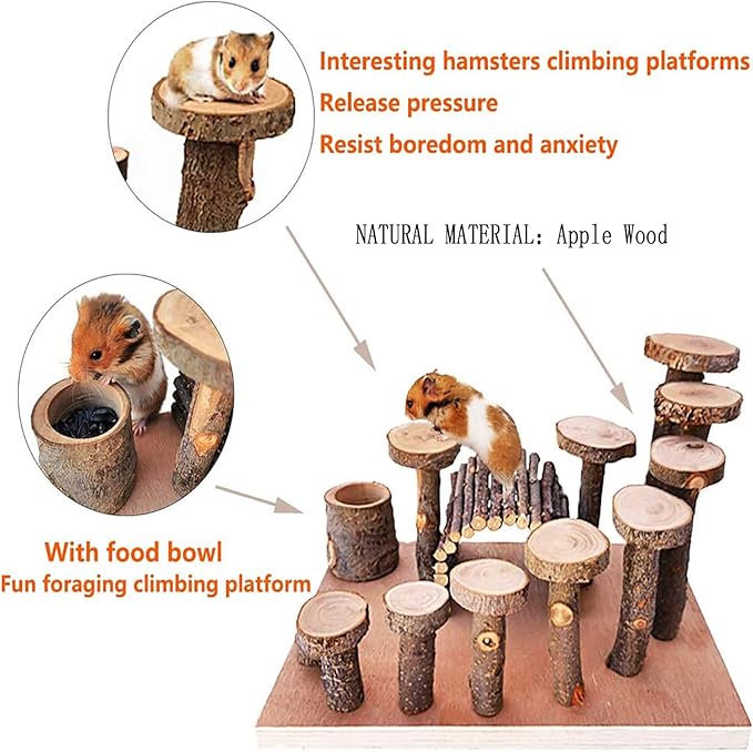 Wooden Chinchilla Platform Toy - Activity Playground Stand Ladder Hideout Set Bridge Ramps Chew Toys for Mouse, Dwarf Hamster, Gerbil, Rat, Sugar Glider, Syrian Hamster, Small Animals