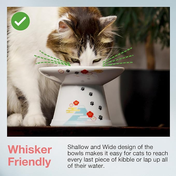 Necoichi Raised Cat Food Bowl – Ceramic Elevated Cat Bowl for Whisker & Neck Fatigue, Dishwasher Microwave Safe – Non-Slip & Anti Vomiting Ergonomic Design (Fuji, Extra Wide)