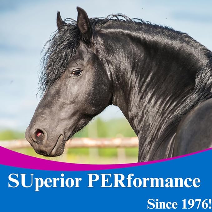 SU-PER Gain Weight for Horses - Equine Supplement Weight Gainer for Horses - Promotes Lean Muscle Mass, Digestion & Appetite - 10 Pound, 1 Month Supply