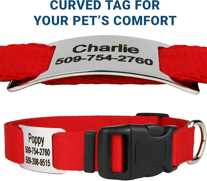 GoTags Personalized Dog Collar with Nameplate, Adjustable Dog Collar with Custom Engraved Slide On Pet ID Tag in Stainless Steel, Silent, No Noise Dog Tag for Large Medium and Small (Red, X-Small)