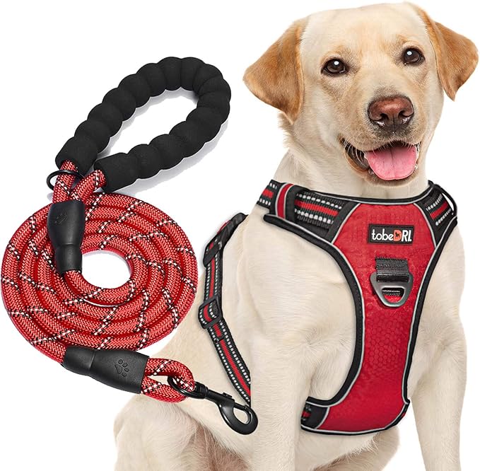 No Pull Dog Harness Adjustable Reflective Oxford Easy Control Medium Large Dog Harness with A Free Heavy Duty 5ft Dog Leash (M (Chest: 22"-26"), Red Harness+Leash)