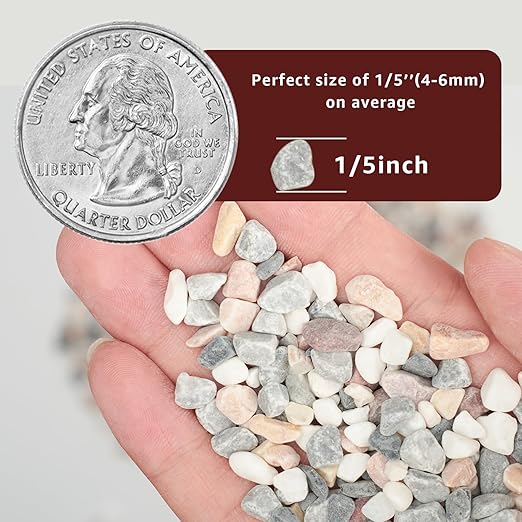 10lbs Natural Gravel Pebbles for Succulents and Cacti, 1/5 Inch Decorative River Stones – Perfect for Vases, Aquariums, Terrariums, and Outdoor Gardening, Mixed Colors (Mixed, 10 Pounds)
