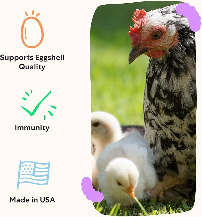 Grubbly Farms Vitamins + Electrolytes Water Supplement for Chickens (30 Day)