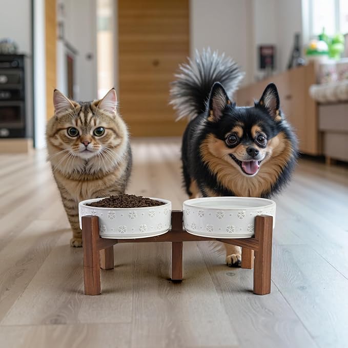 SPUNKYJUNKY Ceramic Dog Bowls Dog Bowl Set with Acacia Wood Stand Raised Dog Bowl Dog Food and Water Bowl for Small Medium Sized Dog (Shallow, 15.5cm)