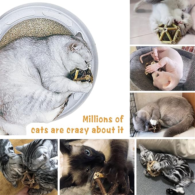 Catnip Toys-2Pcs Natural Silvervine Stick Catnip Ball&Bell Ball-Cat Toys for Indoor Cats- Cleaning Teeth Molar Tools Matatabi Cat Chew Toy-Kitten Toys All Breeds