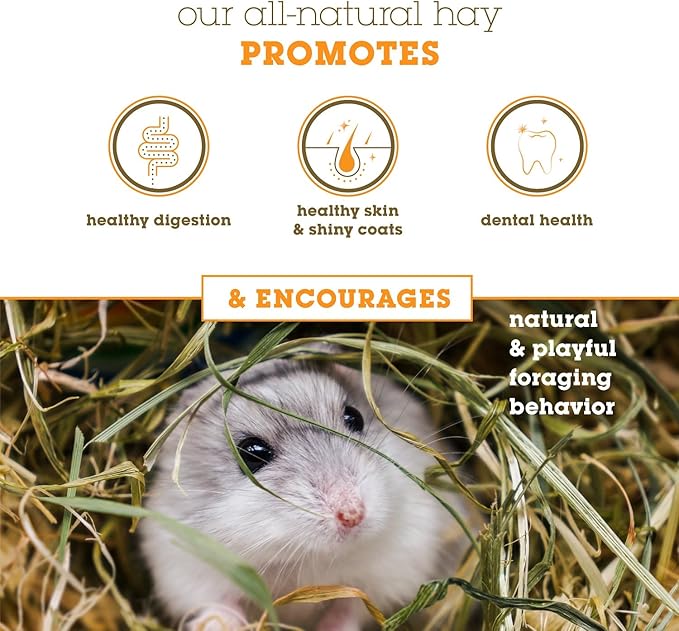 Orchard Grass Hay for Guinea Pigs, Rabbits, Hamsters & Small Pets by Bunny Honey - Fresh, High-Fiber, Supports Digestive Health & Dental Care, Non-Blended & Fresh Cut