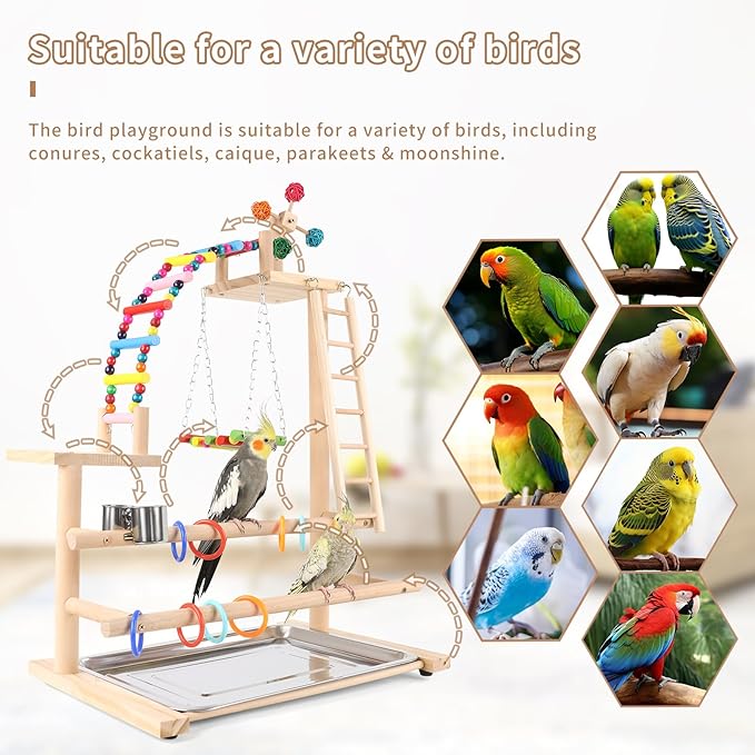 Bird Playground, Perch Stand Parrot Playstand Play Gym with 2 Perches Stand Windmill Toys, Playpen for Parakeet Conure Cockatiel Lovebird Budgie Caique, Exercise Playgym with feeding Cups
