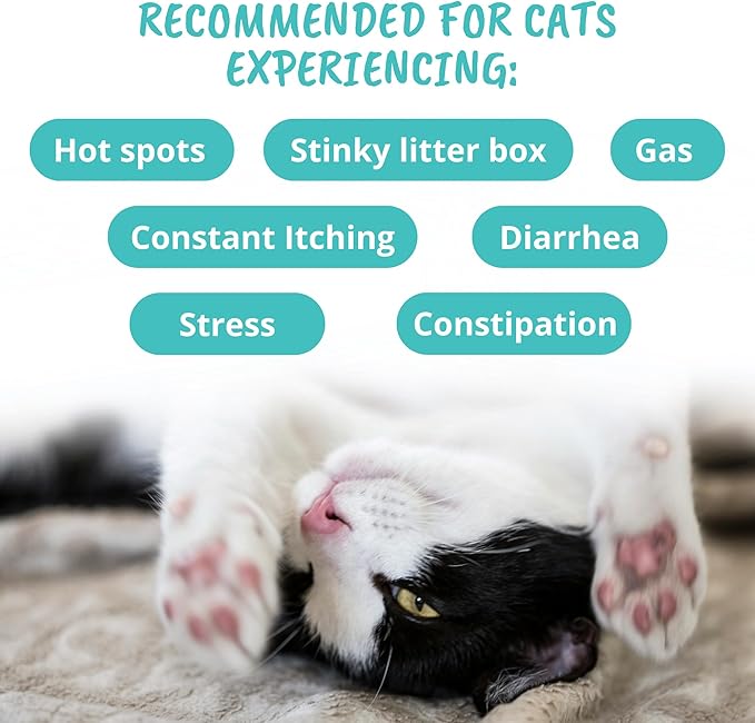 Under The Weather Pet Probiotic Chews for Cats | Promotes Normal Digestion, Balances Healthy Gut Health | 60 Star Shaped Soft Chews