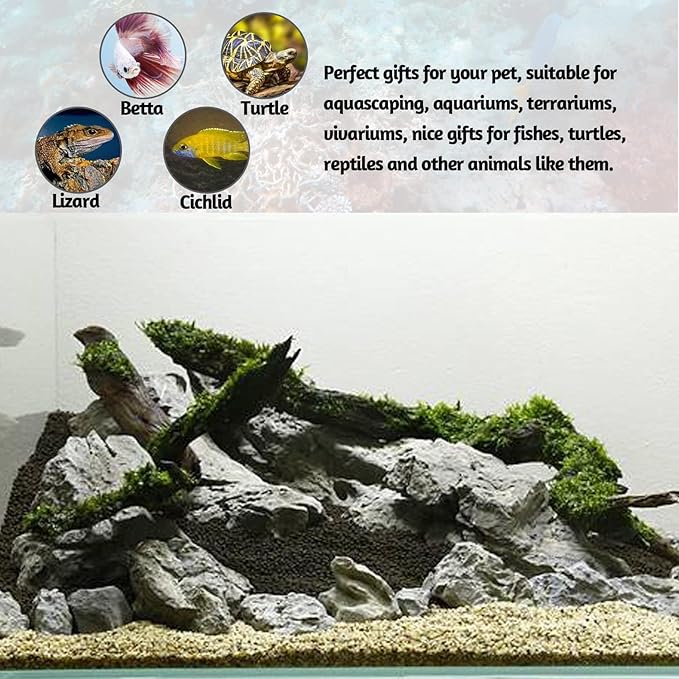PINVNBY Natural Seiryu Stones, Aquariums Slate Stone Decorative Rocks for Fish Tank, Terrariums, Paludarium, Vivariums, Reptile and Amphibian Enclosures, Aquascaping (4.5lb)