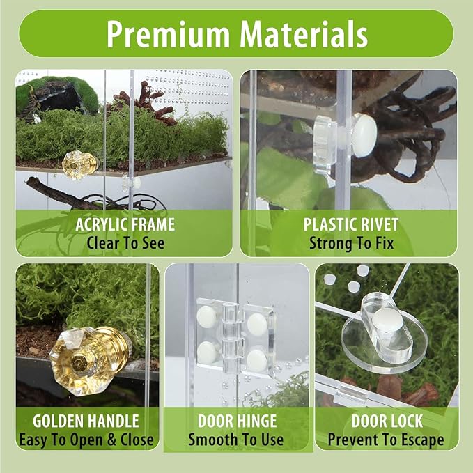 Large Jumping Spider Enclosure, 2 in 1 Acrylic Reptile Terrarium for Praying Mantis,Arboreal Tarantula,Frogs,Snails, 12"*8"*8" Breeding Habitat with Front & Top Opening Doors and Vent Holes