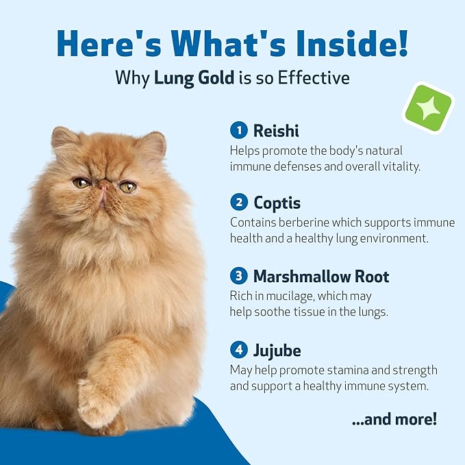 Pet Wellbeing Lung Gold for Cats - Lung Immune Support, Lower Respiratory Health, Open Airways, Normal Breathing, Reishi, Coptis - Veterinarian-Formulated Herbal Supplement - 2 oz (59 ml)