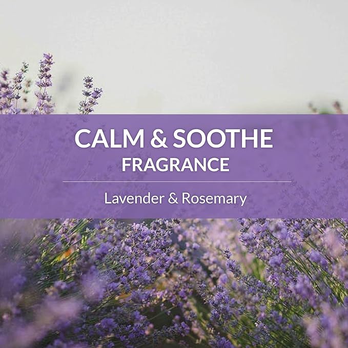 SKOUT'S HONOR Probiotic Pet Deodorizer Spray- Hydrating Daily-Use with Avocado Oil & Omega-3s, Microbiome Friendly Certiified, Paraben & Sulfate-Free, 97% Natural, 8oz, Lavender