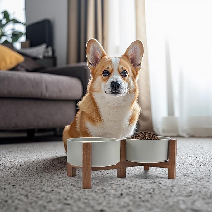 SPUNKYJUNKY Ceramic Dog Bowls with Acacia Wood Stand - Raised Dog Food and Water Bowl Set for Medium Dogs (28.74 OZ, Gray)