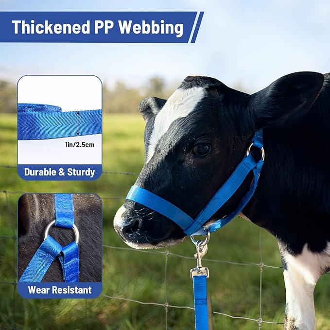 XUANNIAO Easily Adjustable Figure 8 Cow Halter, Double-Ply Premium Livestock Cattle Halters, Colorful Cow Utility Calf Halter with Leading Rope for Miniature Horse Donkey Goat Foal (Small, Blue)