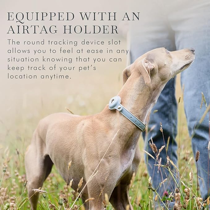 Cupertino Dog Collars, Harnesses & Leashes Made from Vegan Leather with Dog Tracker Device Holder Adjustable Dog Collar - Color Blue, Medium