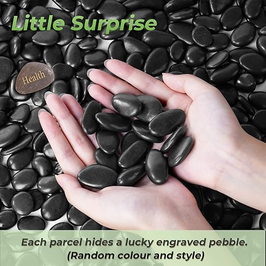 SIDONG 5 LB Black River Rocks, 0.4-1.2 Inches Highly Polished Pebbles for Indoor Plants, Decorative Stones for Plants, Fish Tank, Vases, Home Décor, Crafting, Garden Landscaping