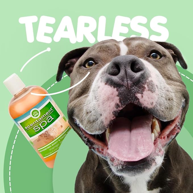 Best Shot Scentament Spa Seasonal Facial & Body Wash, Mango Maui, 16 oz