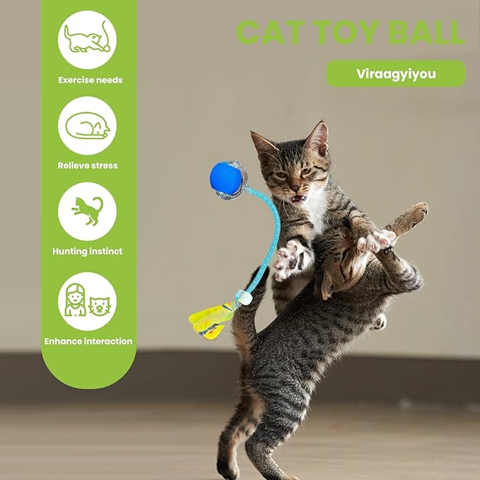 Cat Toy, Interactive Cat Toy, Cat Toys for Indoor Cats with 2 Tails, 3 Modes Rechargeable Cat Enrichment Toys for Small/Medium/Large Cats to Keep Them Busy