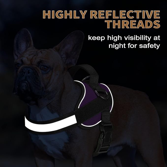 Haapaw Essential Dog Harness, No Pull Pet Vest with 3 Leash Clips, No Choke, Reflective, Adjustable and Padded, for Easy Walking and Training for Small Dogs(S, Purple)