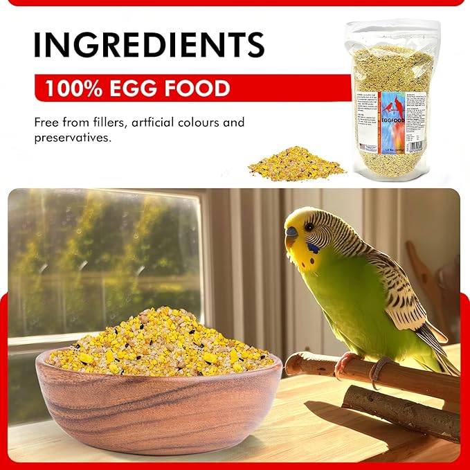 Morning Bird Eggfood 1.5 lbs – Protein Food with Essential Amino Acids, Vitamins & Minerals – Supports Growth, Digestion & Feather Health – Ideal Bird Seed for Breeding and All Bird Types