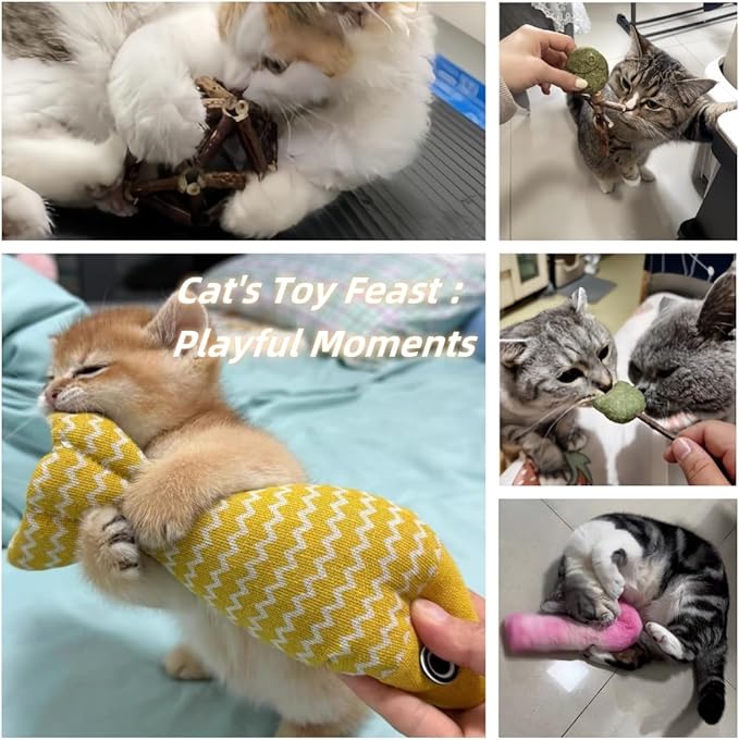 Natural Cat Toys Set with Catnip Fish & Bone,Catnip Plush Toy & Natural Silvervine Stick Cage Balls & cat nip for Cats Lolipop, 8-Piece cat Toys for Indoor Cats Interactive Pet Toys