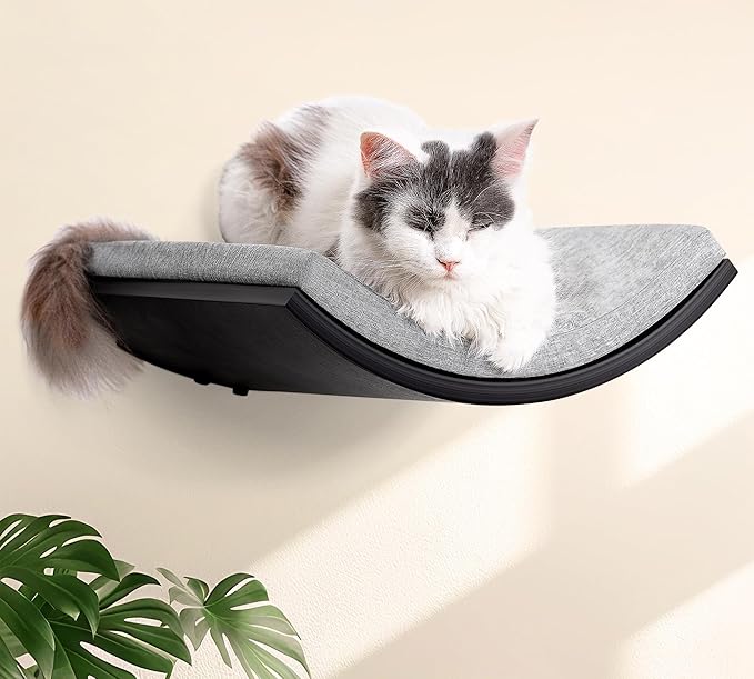 Cat Wall Shelf, Curved Cats Wall Bed, Wall Mounted Cat Grey Climbing Shelves for Sleeping, Playing, and Lounging