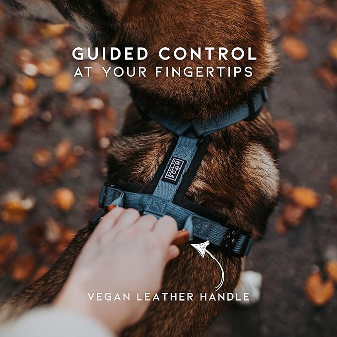 MADE TO ROAM Premium Explorer Harness - Y-Shaped Dog Harness with Adjustable Durable Nylon, Soft Padding, Metal Buckles and Leather Handle for Small, Medium, Large Dogs (Virginia Mountains, Size 3)