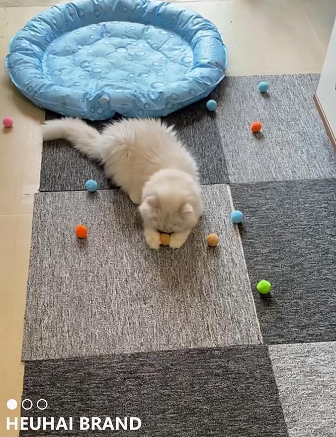 19-Piece Cat Toy Variety Pack for Kittens and Indoor Cats (1.5'' - 8.3'', Cat Toys Pro Collection)