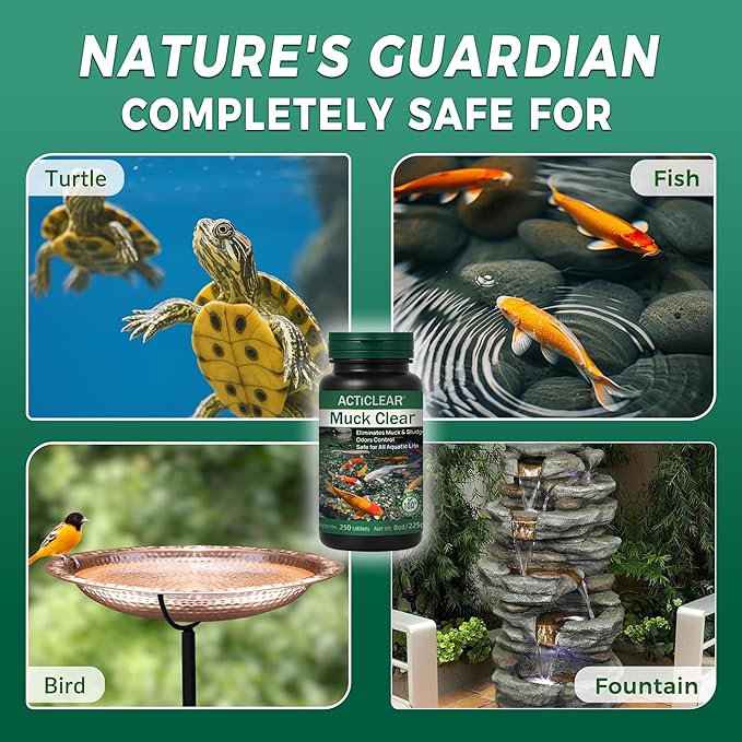 Muck Clear – Natural Pond Sludge Treatment, 500 Tablets for Ponds, Fountains & Bird Baths, Beneficial Bacteria & Enzymes, Chemical-Free & Safe for Fish, Pets & Wildlife