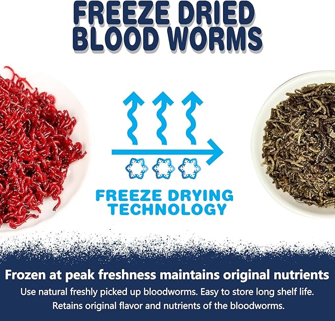 JADINGSFRAM Blood Worms Fish Food 3.5 oz, Freeze Dried Bloodworms for Fish, Bloodworms Fish Food for Freshwater Saltwater Tropical Fish Betta Cichlid Goldfish Guppy Turtle (3.5 OZ)