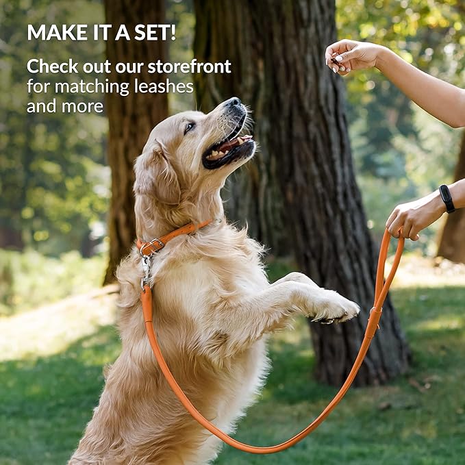 CollarDirect Rolled Leather Dog Collar, Soft Padded Round Puppy Collar, Handmade Genuine Leather Collar Dog Small Large Cat Collars 13 Colors (6 Inch, Orange Smooth)