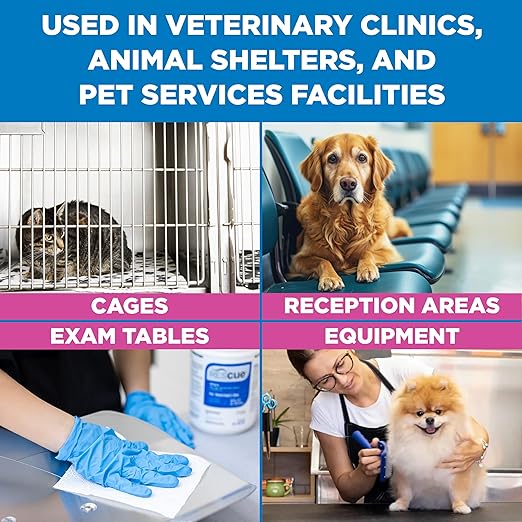 REScue One-Step Disinfectant Cleaner & Deodorizer Wipes for Vet Use – Cleaner for Kennels, Litter Boxes, Vet Offices, Pet Grooming Surfaces – Extra Large Wipes, 160-Count Bucket Refill (1 Pack)