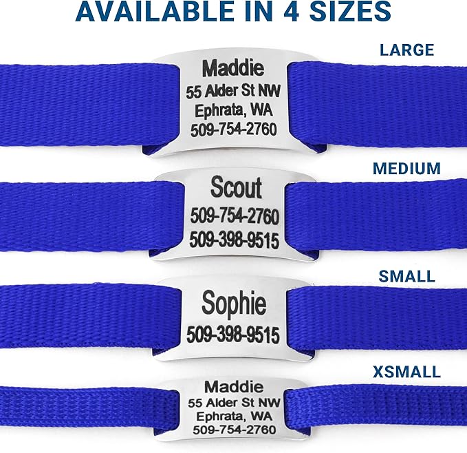 GoTags Personalized Dog Collar with Nameplate, Adjustable Dog Collar with Custom Engraved Slide On Pet ID Tag in Stainless Steel, Silent, No Noise Dog Tag for Large Medium and Small (Blue, Medium)