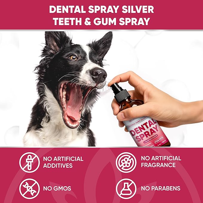 Dental Spray for Pets – Cat & Dog Breath Freshener That Helps with Tartar, Plaque, & Bad Odor – Silver 50 PPM + Valerian Flavour for Dog Teeth Cleaning – 4 Oz