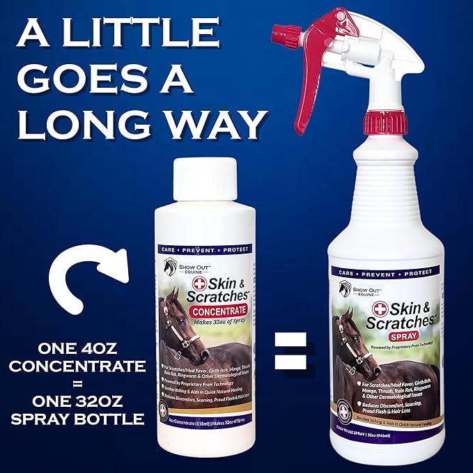 Show Out Skin & Scratches Prevention Pack - Fast Relief and Prevention for Horse Care. Use on Equine Scratches/Mud Fever, Girth Itch, Mange, Rain Rot & Other Skin Issues on Horses w/Empty Spray Bottle