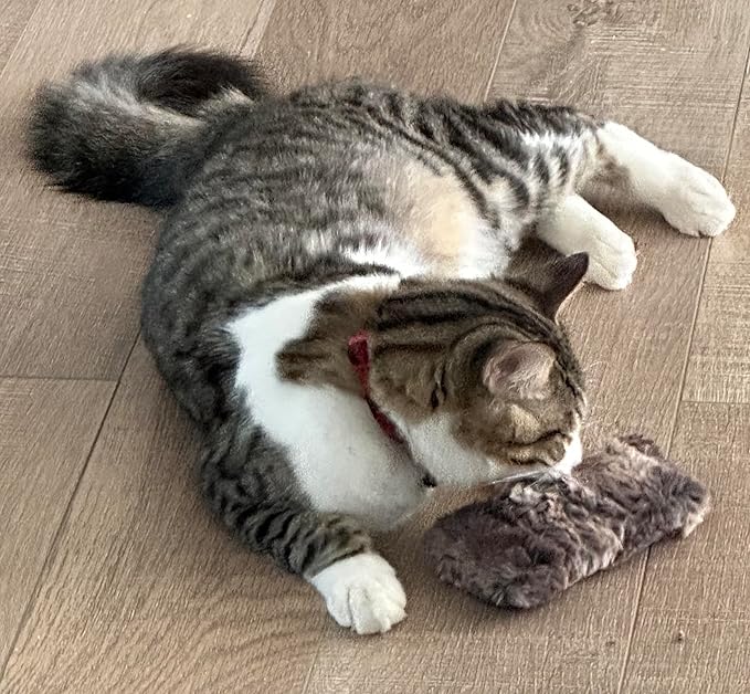 Refillable Kitty Crinkle Furry Catnip Toy