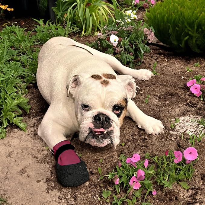 Double Dipped Thick Textured Waterproof Cotton Dog Socks | PawFlex Comfy Pawz Soft Indoor/Outdoor Pet Booties | Non-Slip Silicone Grip at Inner Wrist for No Twisting or Sliding Off| Adjustable Strap