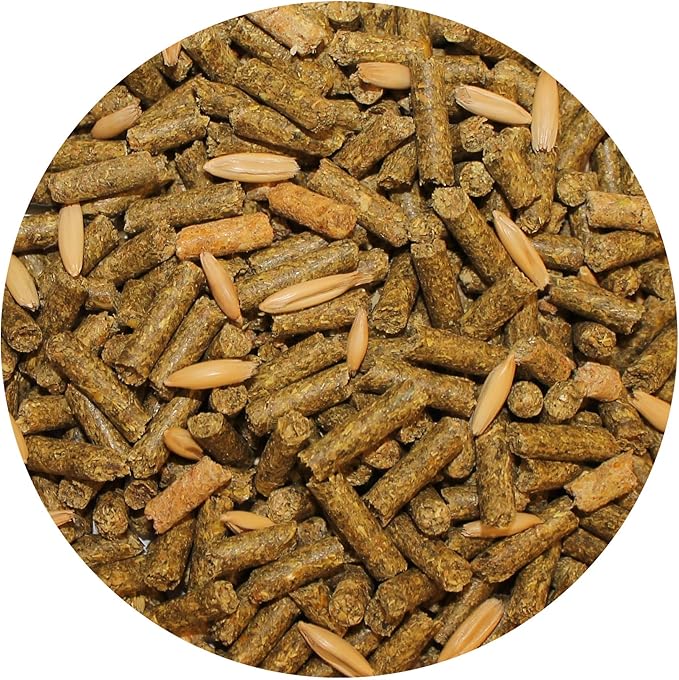 Exotic Nutrition Degu Diet (18lb) - Nutritionally Complete Healthy Pellet Diet with Whole Oats - for Domesticated Pet Degus
