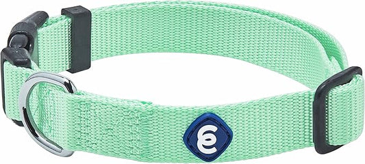 Blueberry Pet Essentials Small Dog Collar in Pastel Green | Adjustable & Eco-Friendly Durable Nylon Strap | Classic Collar for Small Dogs, Boy & Girl Pets