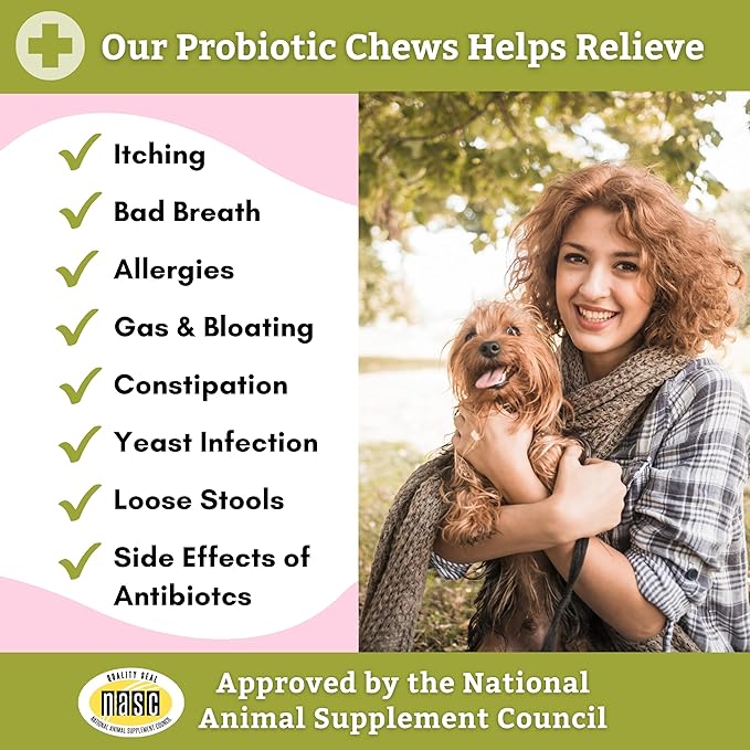 Wholistic Pet Organics:Dog Probiotics and Digestive Enzymes-Probiotic Chews for Dogs Digestive Health,Support Gut Health Immune Supplement Prevents Dog Digestive Problems (Original, 240 Count)