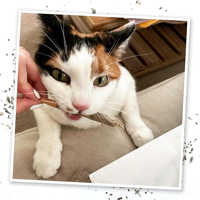 Meowijuana Get Higher Bundle | Get Higher Kite Refillable Toy, King Size Catnip Joints, and Whisker Tickle | Hand Harvested and Rolled Dried High Potency Catnip | Grown in North America