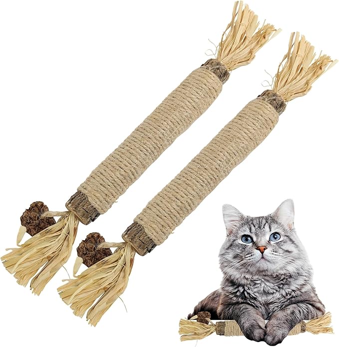 Catnip Silvervine Sticks for Cats | Silver Vine Chew Toy or Cat Chew Stick | Kitten Teething Toys | Cat Dental Chew with Cat Raffia Grass for Healthy Teeth & Digestion | Silvervine Cat Toy | 2 Sticks