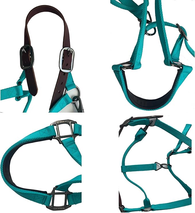 Majestic Ally Leather Halter with Matching Lead Rope for Horses – Leather Breakaway Crown - Adjustable Chin Strap – Rolled Throat Latch – Padded Noseband – Full (Royal Blue, Full)