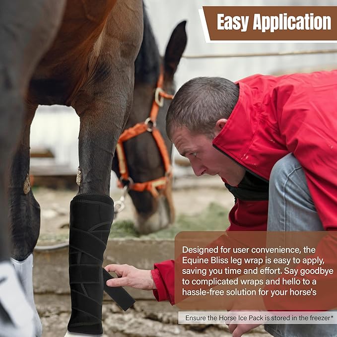 Hudson Comfort Horse Ice Boots Set of 4 – Cooling Horse Ice Pack Wrap for Knee, Hock, Ankle, Hooves Injury – Hot and Cold Therapy Horse Leg Wraps – Full Coverage Cold Packs - 4 Wraps + 8 Gel Packs