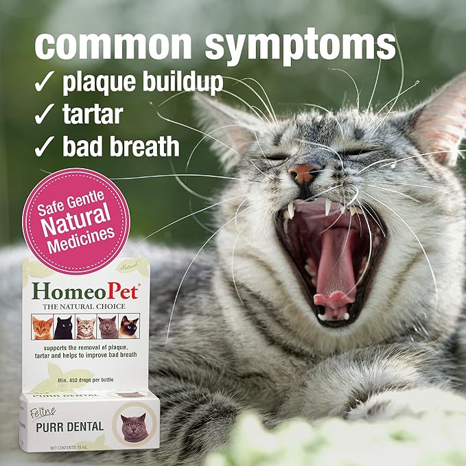 HomeoPet Feline Purr Dental, Safe and Natural Tooth and Dental Care for Cats, Cat Dental Care, 15 Milliliters