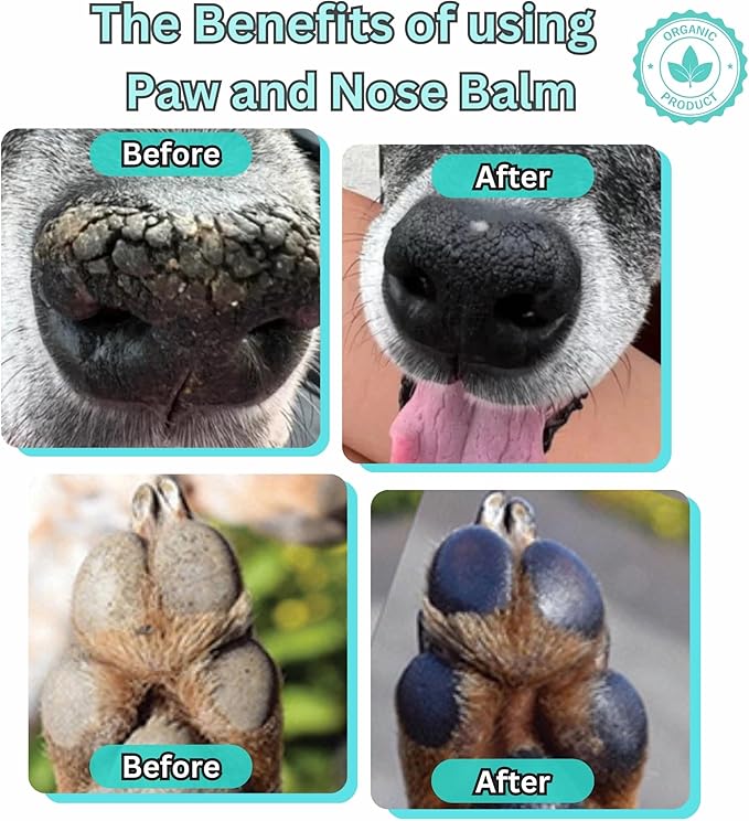 Lick-Safe Organic Paw & Nose Balm for Dogs, Cats & More – All-Natural, Vegan, Hypoallergenic – Heals, Protects & Restores Dry, Cracked Paws, Snouts & Elbows – Aloe, Avocado Oil, Beeswax – 1.75 oz