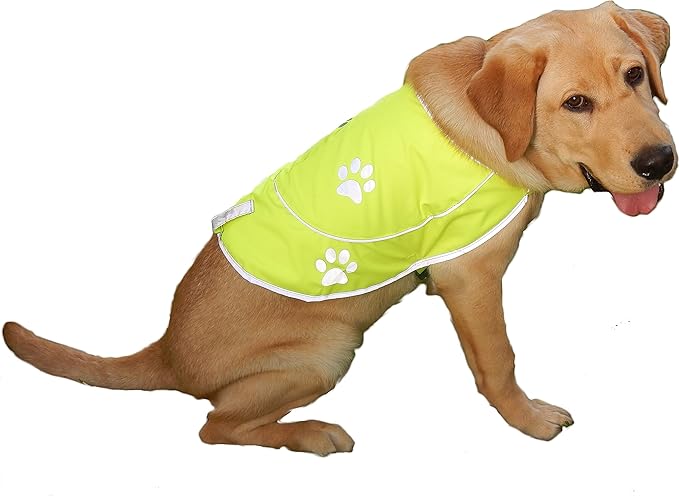 Dog Reflective Vest - Comfortable Jacket Safety Hunting, High Visibility for Dogs with Elastic Straps and Clasp Closure- Orange, XX-Large